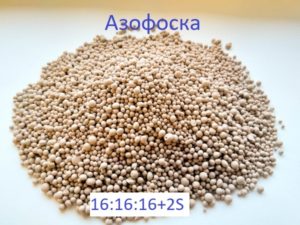 Азофоска-сера