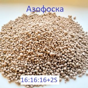 Азофоска-сера